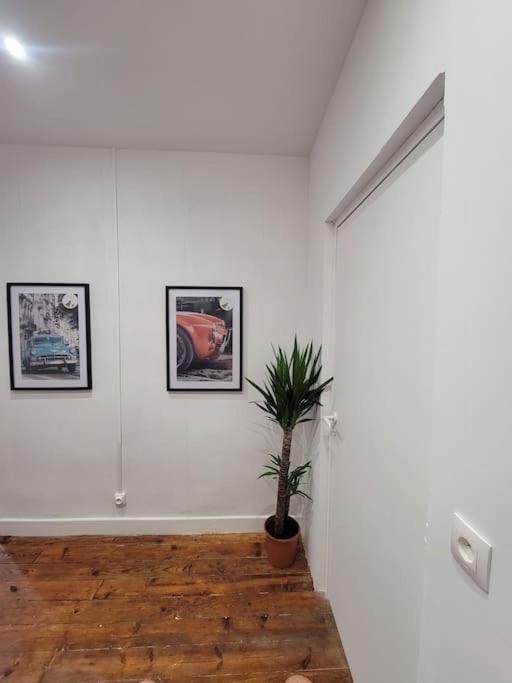 Appartement de Charme avec tomettes et Parquet Graulhet Extérieur photo